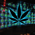 ganja nasdaq
