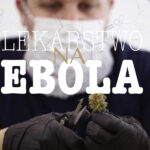 ebola i marihuana