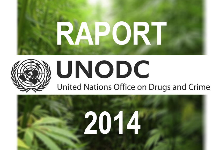 raport unodc marihuana 2014