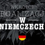 legalna medyczna marihuana w niemczech