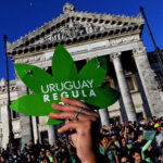 urugwaj legalizacja marihuany