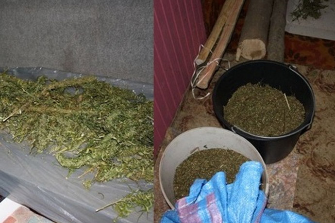 sandomierz 19 kg marihuany