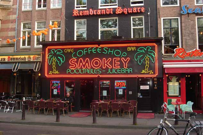 marihuana w amsterdamie