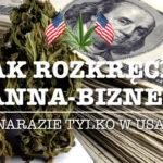 Biznes z marihuaną