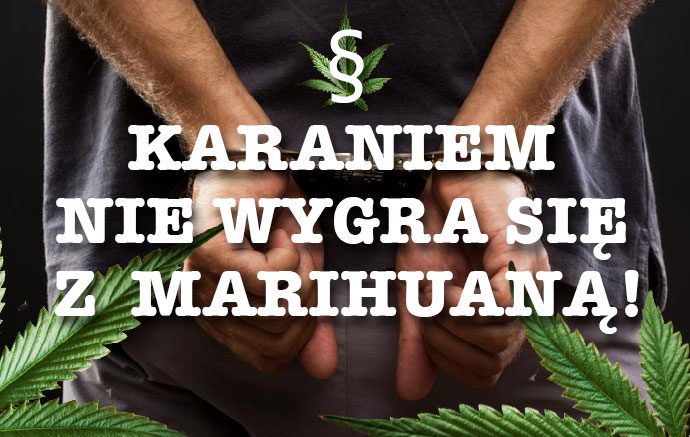 Kara za posiadanie konopii