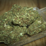 młodzież z maroihuana