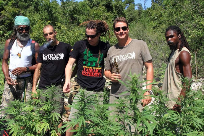 strain hunters dokument