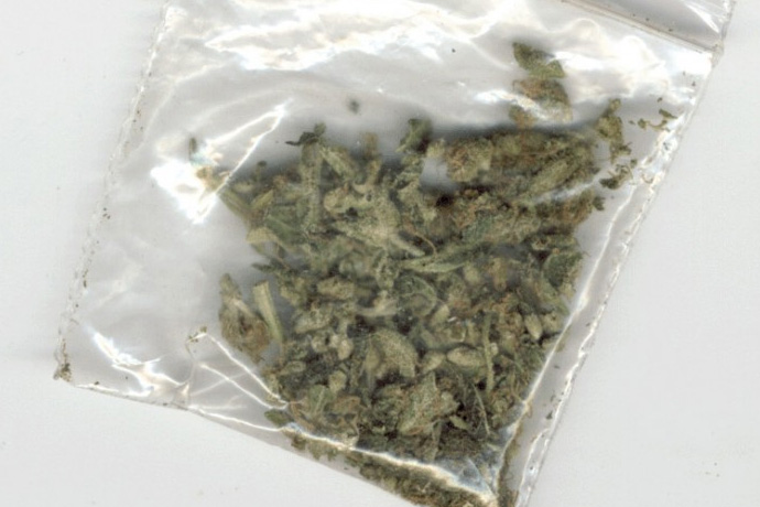 diler pijany marihuana