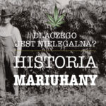 historia marihuany w usa