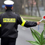 prowadzenie samochodu po marihuanie