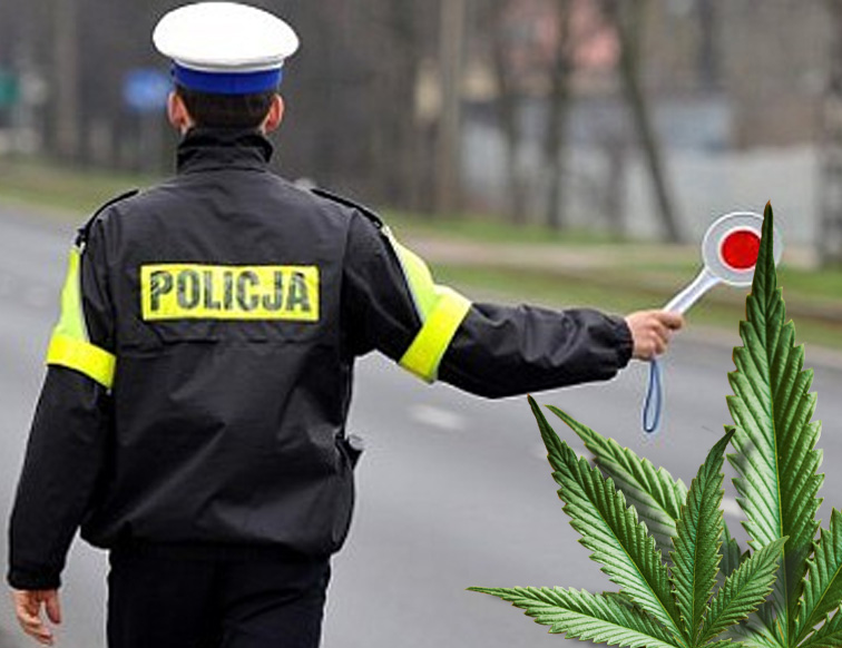 prowadzenie samochodu po marihuanie