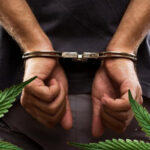 posiadanie marihuany kara