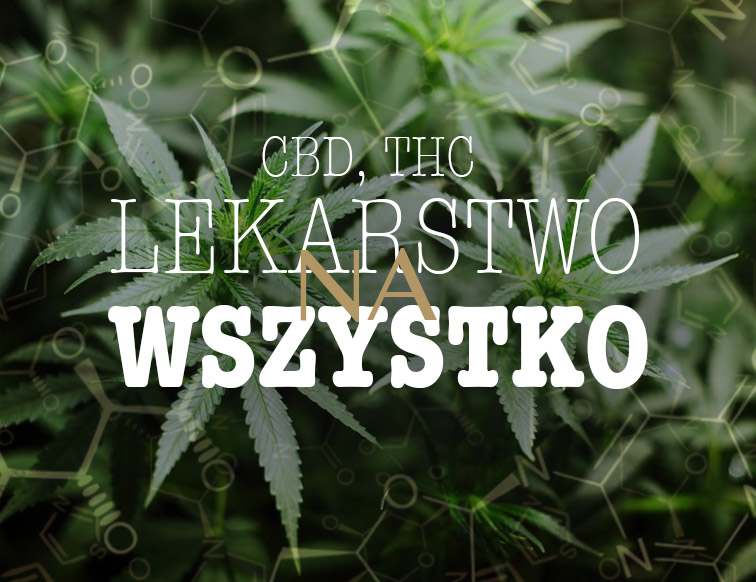 lekarstwo na wszystko thc