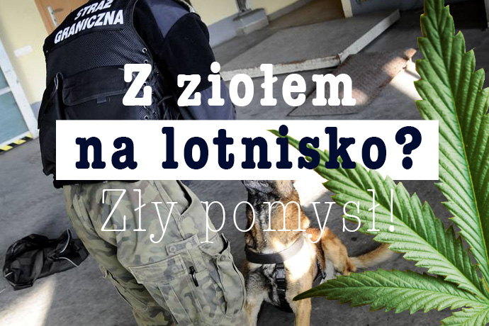 marihuana przechwycona na lotnisku