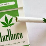 papierosy marlboro z marihuana