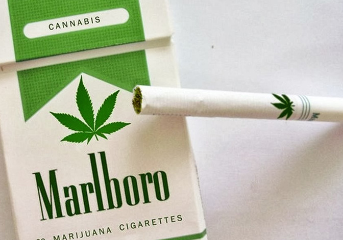 papierosy marlboro z marihuana