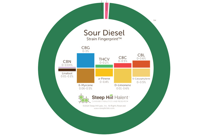 analiza marihuany pod mikroskopem