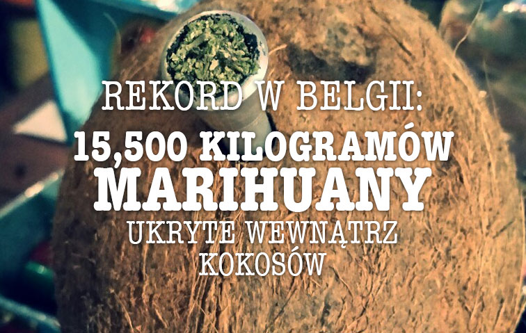 Kokos pomysl na przemyt