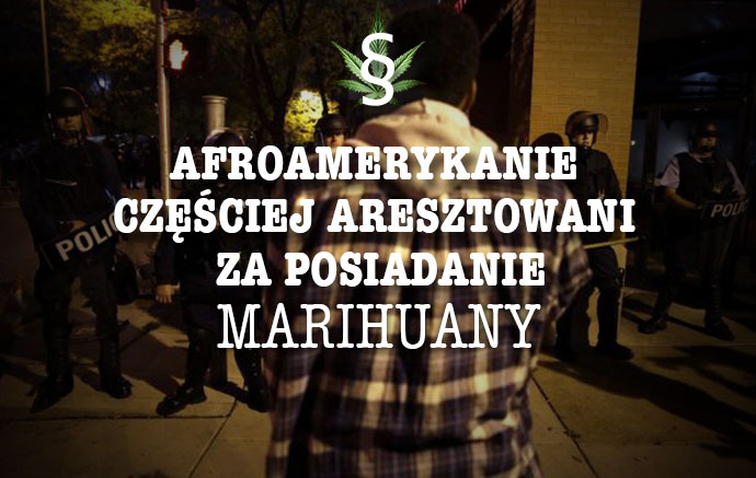 AFROAMETYKANIE CZESCIEJ KARANI ZA POSIADANIE