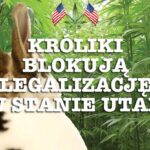 legalizacja_marihuana_utah