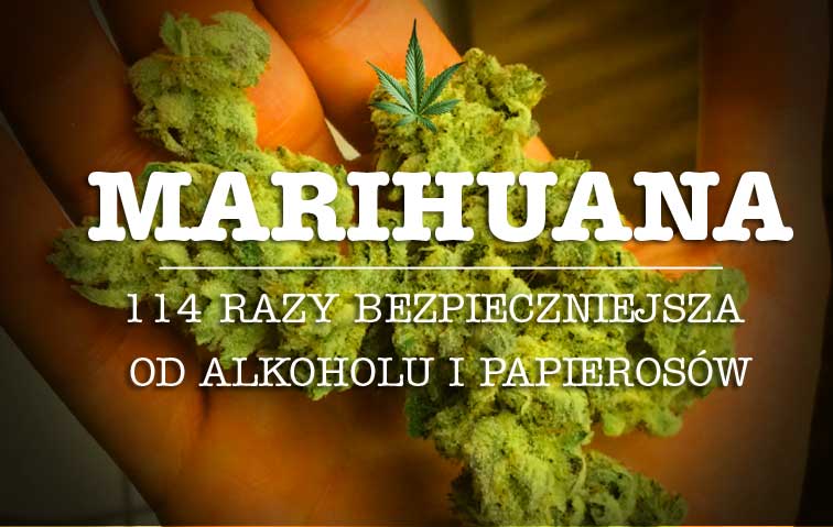 zdrowa marihuana