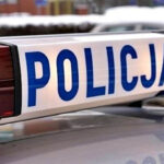 plantacja i kradzież samochodów