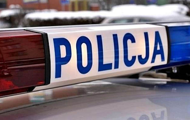 plantacja i kradzież samochodów