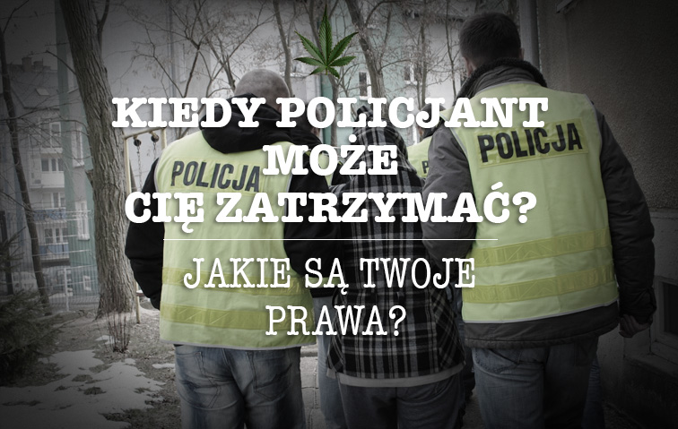 zatrzymanie przez policje prawa