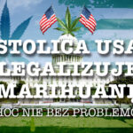 Legalizacja marihuany USA