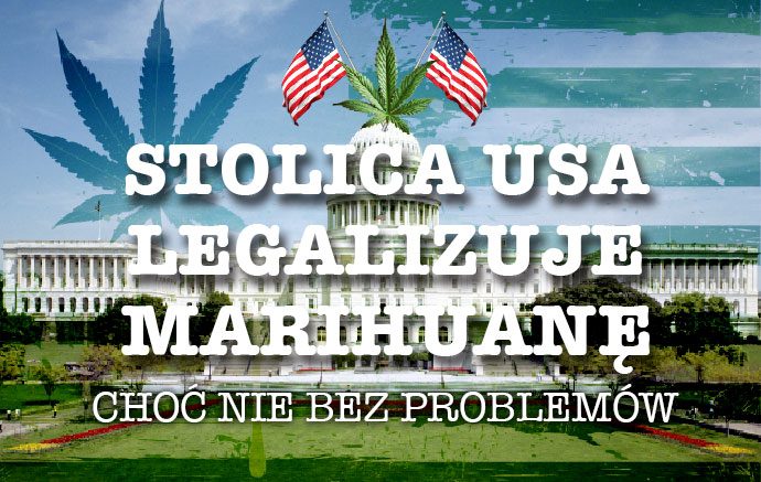 Legalizacja marihuany USA
