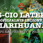 Oficjalna terapia marihuaną w Polsce