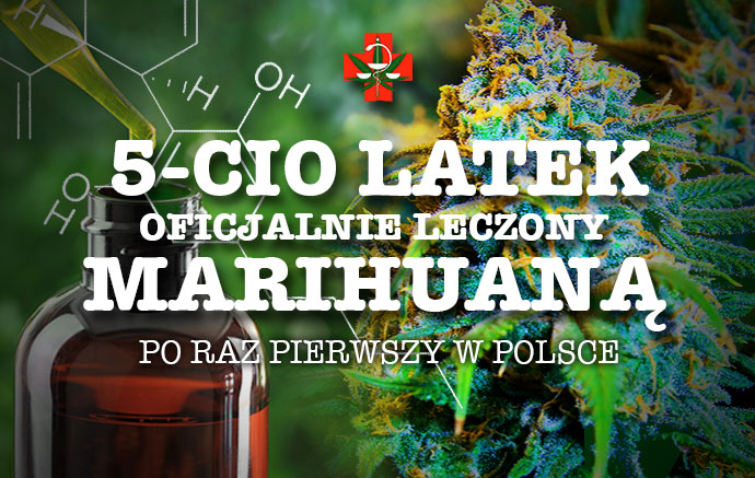 Oficjalna terapia marihuaną w Polsce