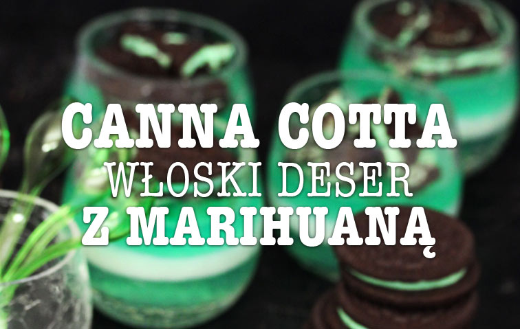 Panna Cotta z THC