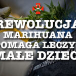 Przełom! Marihuana medyczna pomaga małym pacjentom Centrum Zdrowia Dziecka