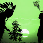 Biznes konopny rdzennych aremykanów