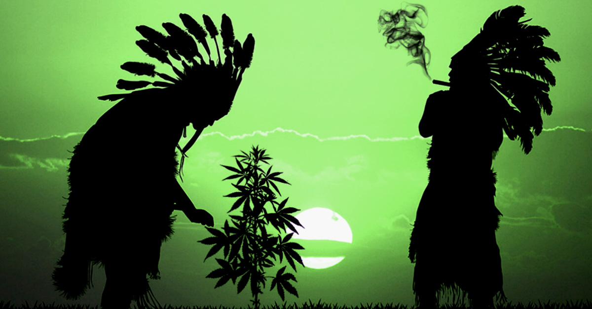 Biznes konopny rdzennych aremykanów