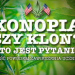 Liść przypominający konopie powodem zawieszenia ucznia