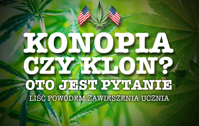 Liść przypominający konopie powodem zawieszenia ucznia