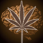 marihuana będzie leczyć padaczkę w Polsce