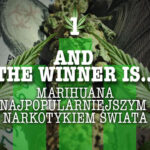 Marihuana wygrywa z innymi narkotykami świata