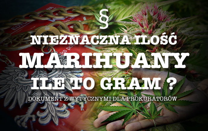 Nieznaczna ilość marihuany – 10g