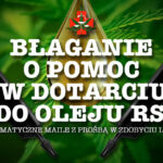 Błagania o pomoc po artykule o olejku RSO