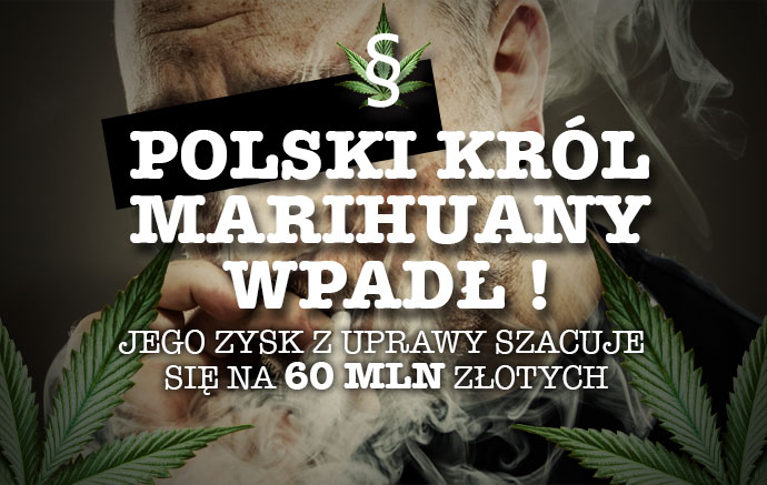Król Marihuany Sebastian D. zatrzymany !