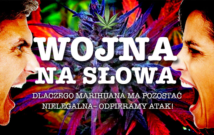 Dlaczego marihuana ma pozostać nielegalna – odpieramy atak!