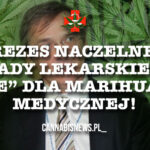 Nie dla medycznej marihuany