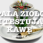 Palą zioło i testują kawę
