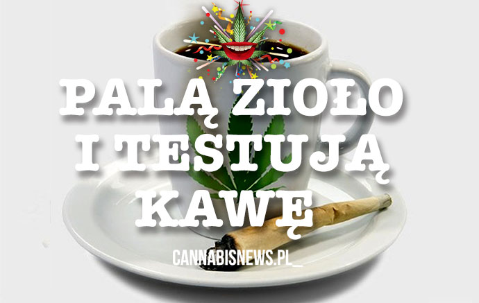 Palą zioło i testują kawę
