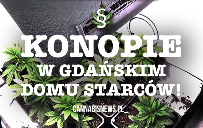 Dom spokojnej starości i….wzrostu konopi