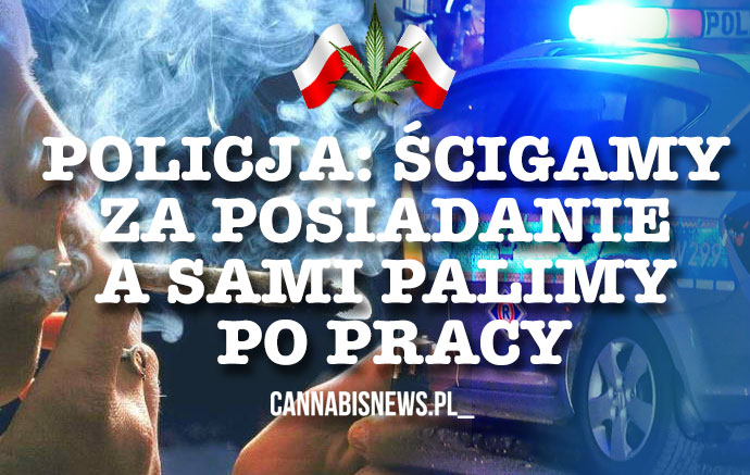 Ścigają za posiadanie a sami palą