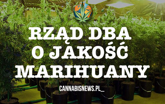 Kolorado: 60 000 karzków poddanych leczeniu